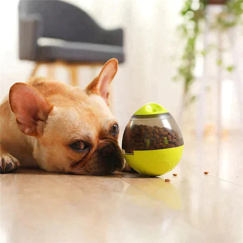 Interactive Pet Food Dispenser Toy Petritzy