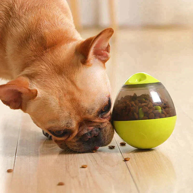 Interactive Pet Food Dispenser Toy Petritzy