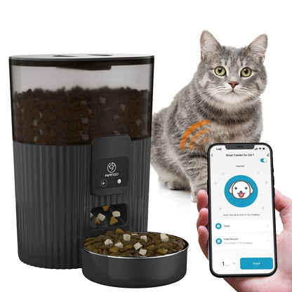 Cat Automatic Feeder Dog