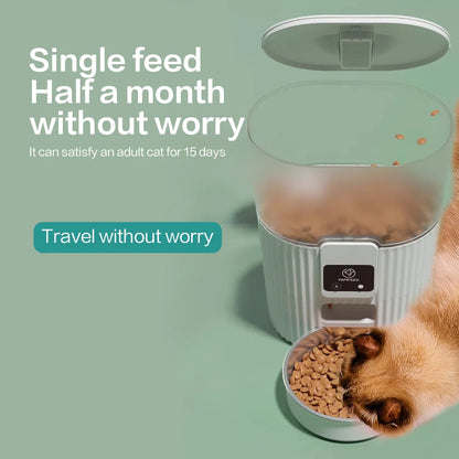 Cat Automatic Feeder Dog