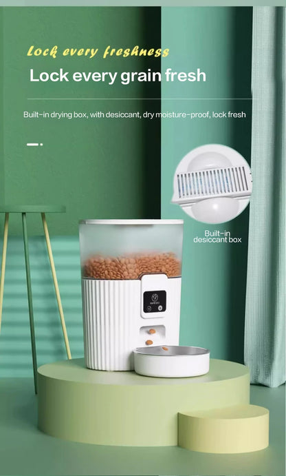 Cat Automatic Feeder Dog
