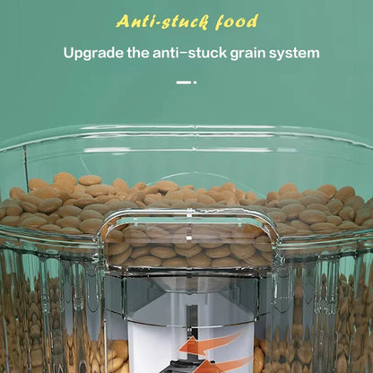 Cat Automatic Feeder Dog