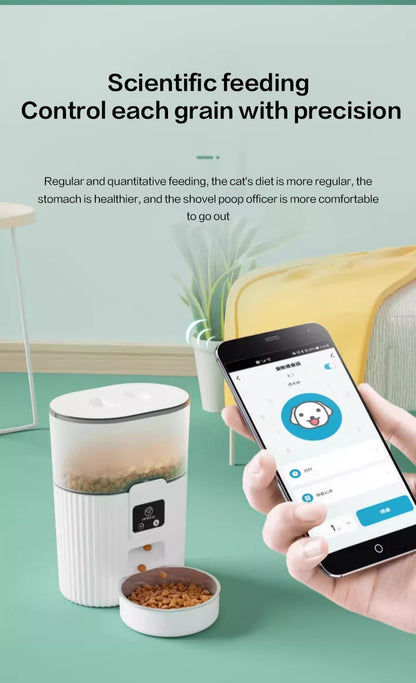 Cat Automatic Feeder Dog