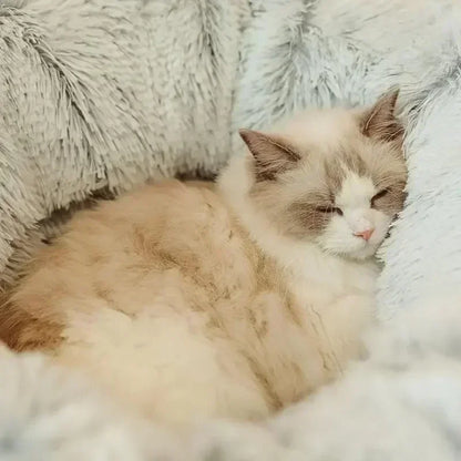 Cozy Round Cat Bed Tunnel