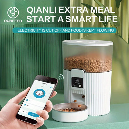 Cat Automatic Feeder Dog