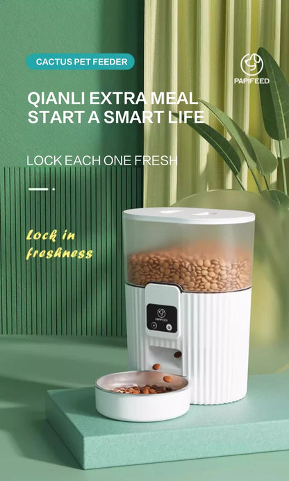 Cat Automatic Feeder Dog