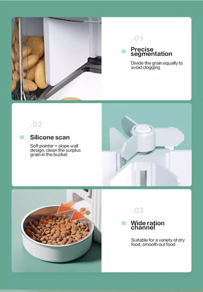 Cat Automatic Feeder Dog