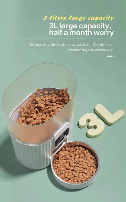 Cat Automatic Feeder Dog
