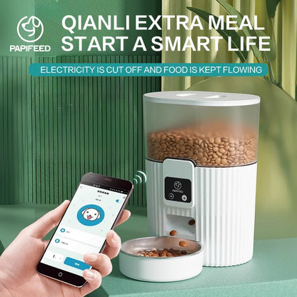 Cat Automatic Feeder Dog
