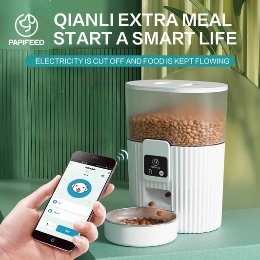 Cat Automatic Feeder Dog