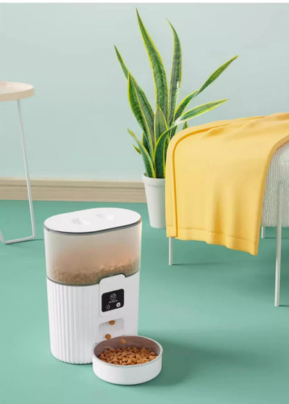 Cat Automatic Feeder Dog